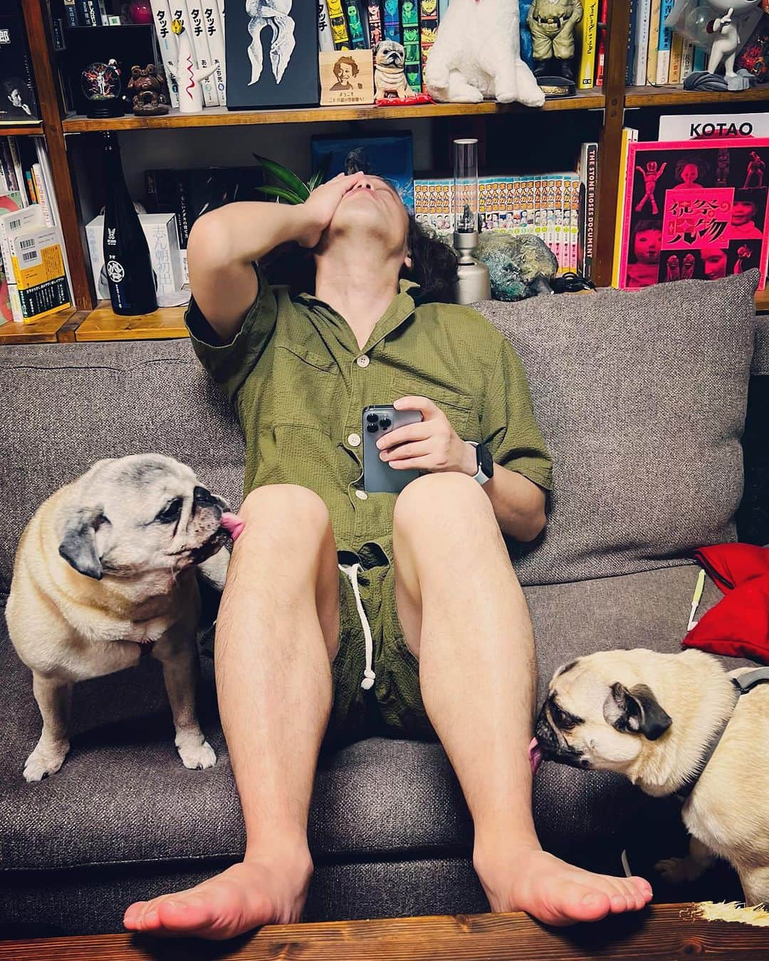 やついいちろうのインスタグラム：「今日のこぶしとこはだと私  挟み撃ち  #pug #pugs #puglife #puglove #パグ #パグスタグラム #うちの犬がおじいちゃんになっちゃった」