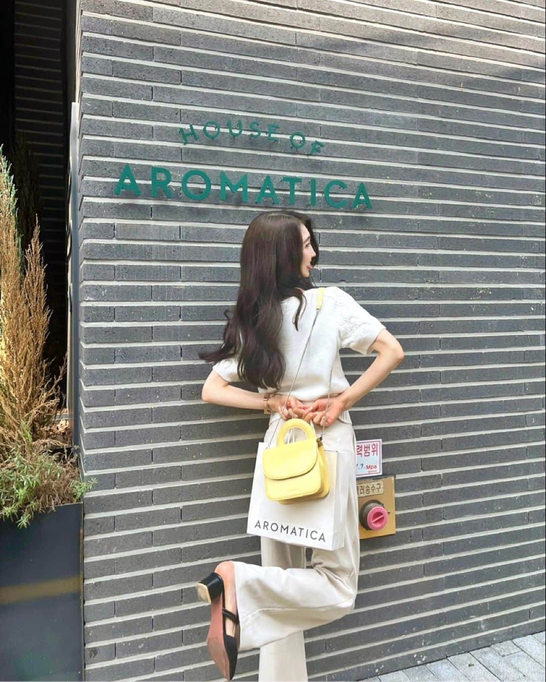 ANRIさんのインスタグラム写真 - (ANRIInstagram)「하우스 오브 아로마티카🪴 @aromatica.life in カロスキル♡  アロマティカの製品が揃うフラッシングストアへ🍃 頭皮とボディのカッサマッサージやスクラブ体験ができたり色々試しながらお気に入りを探せます♡  以前伺った時のことをお姉さんが覚えていてくださって🫶🏻とっても嬉しかった〜楽しかった〜癒された〜🤭☺️ 日本語も上手なのでおすすめです♡ @aromatica.jp #아로마티카 #하우스오브아로마티카 #aromatica #houseofaromatica #pr」7月9日 22時54分 - annnchannn