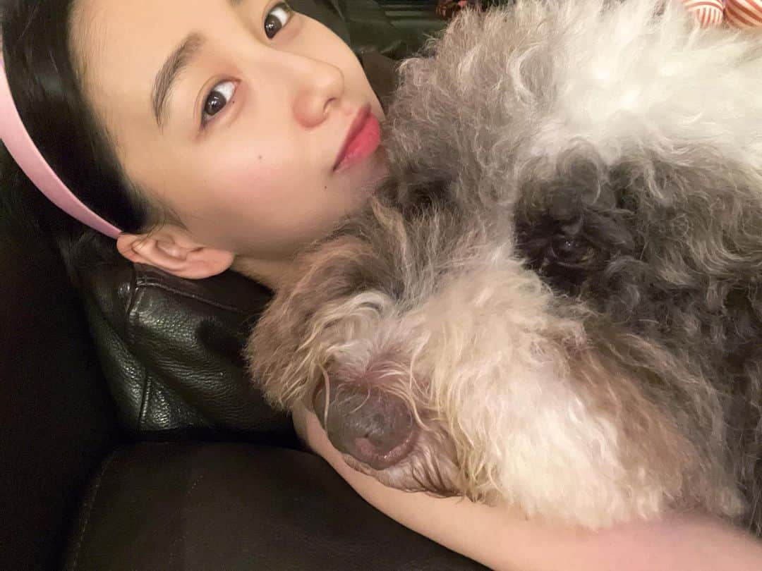 木村心美さんのインスタグラム写真 - (木村心美Instagram)「エト君。大っきいのに抱っこが大好きです。可愛いです。」7月9日 22時56分 - cocomi_553_official