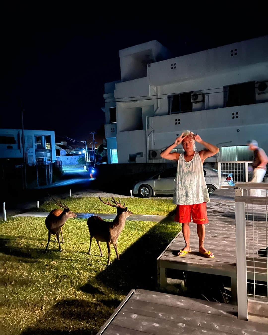 照屋 健太郎さんのインスタグラム写真 - (照屋 健太郎Instagram)「Okinawa Aka Island🤿💭🐢 家族のお祝いと娘の誕生日のお祝いで僕の両親と一緒に阿嘉島へ🚢BIRTHDAY TRIP🎂海でシュノーケリングをしていたら、人生で初めて海亀が隣で泳いでくれる体験をしました‼️めちゃめちゃ感動の体験でした🙌🙌  キレイな珊瑚やお魚も見れて、夜、宿に帰ってきたら阿嘉島の天然記念物(ケラマジカ🦌)が3頭もいてパニック😂動画めちゃめちゃ面白い😂😂  星もたくさん見えました。さそり座がとっても大きく見えました。家族みんなで沖縄本島では体感できない自然を満喫できて、すごく楽しかったです！  #ぜんぶiPhoneで撮影 #沖縄 #阿嘉島 #誕生日 #海亀 #シュノーケリング #海 #娘 #8歳 #ケラマジカ」7月9日 23時25分 - libertyforce_teruya