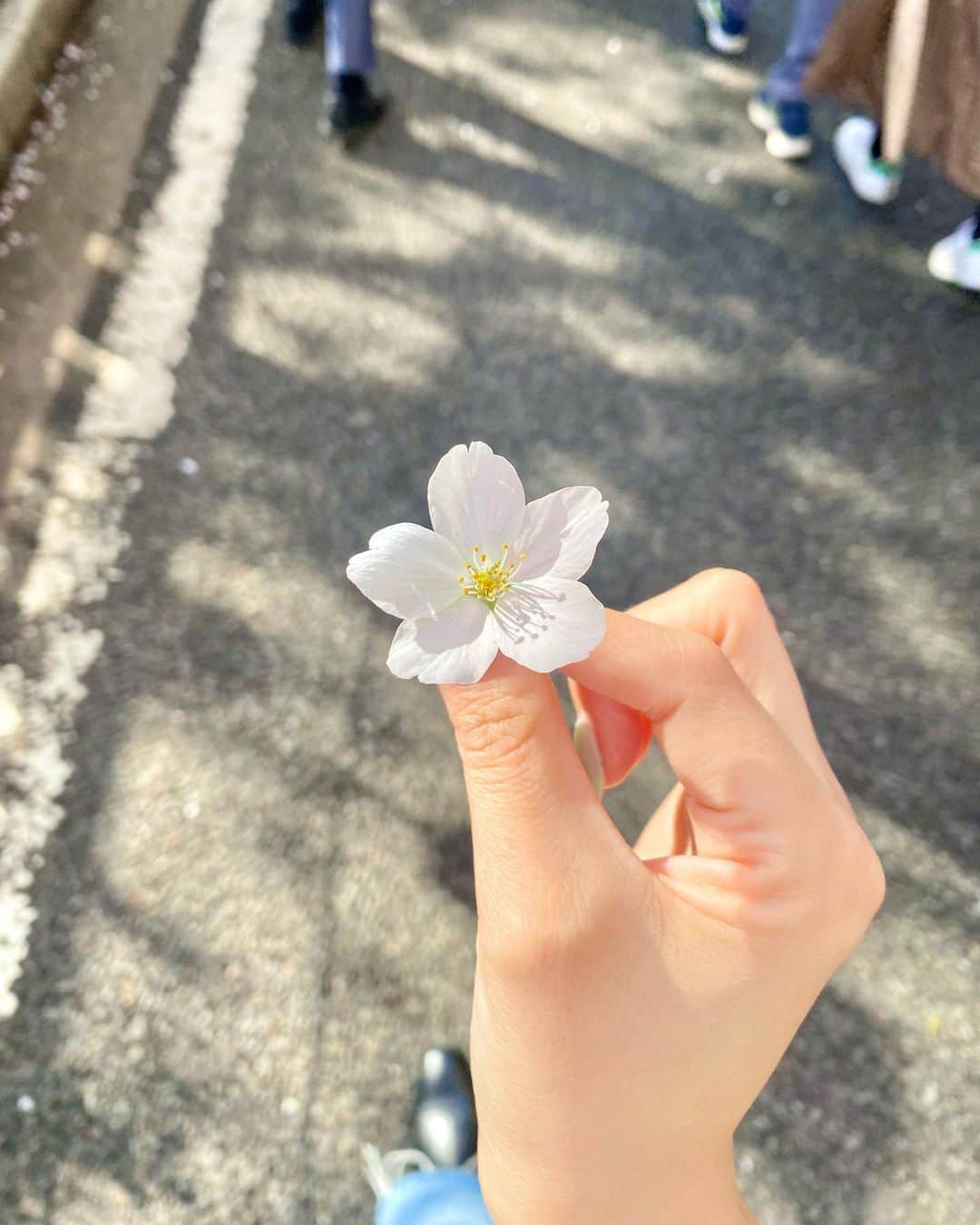 小林優希のインスタグラム：「🌸🤍」