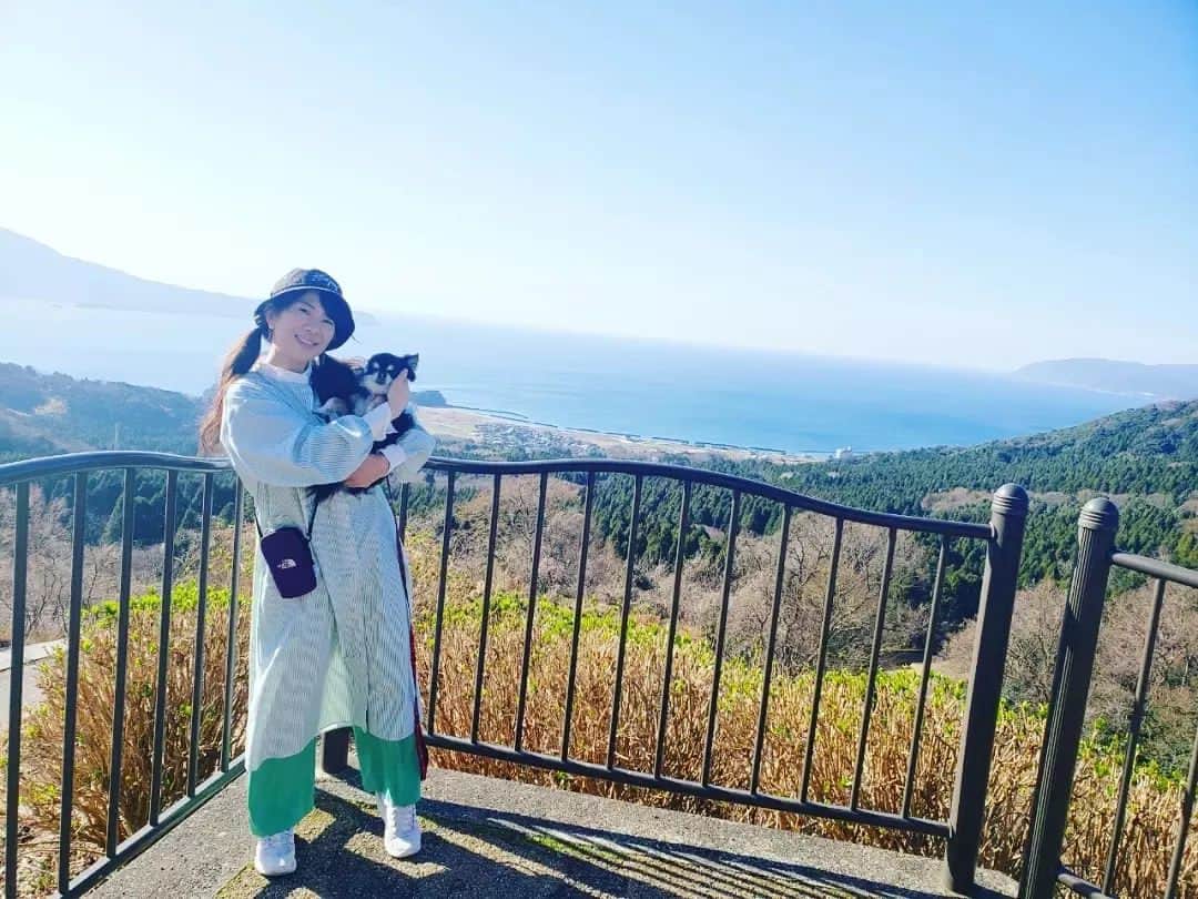 服部ひで子のインスタグラム：「吉本新喜劇座員総選挙👑開催中‼️  【 ７/９(日) 12日目 】 投票にご参加くださっている皆様、本当にありがとうございます(* ´ ▽ ` *)ﾉ  🐕ワンと湾🐕  ━━━━━━━━━━━━━━━━━━━━━━━ 🍀吉本座員総選挙2023🍀  ◆10/8(日)「吉本新喜劇まつり」の出演者を決める総選挙。  ◆上位２５名 ＋ 世代別じゃんけんの勝者５名。  ◆投票期間【6/28～8/13】  ◆１日１回投票可能。(座員３名を選出) ━━━━━━━━━━━━━━━━━━━━━━━ 投票ページ(吉本新喜劇座員総選挙ホームページ)へのアクセスは、ストーリーズにリンク貼っております💡  【 投票の方法 】 1️⃣よしもとチケットサイト   FANY IDへ登録(無料)。  2️⃣吉本新喜劇座員総選挙HPへアクセス   １日１回、座員３名を選んで投票。  #吉本新喜劇 #服部ひで子  #吉本新喜劇座員総選挙」