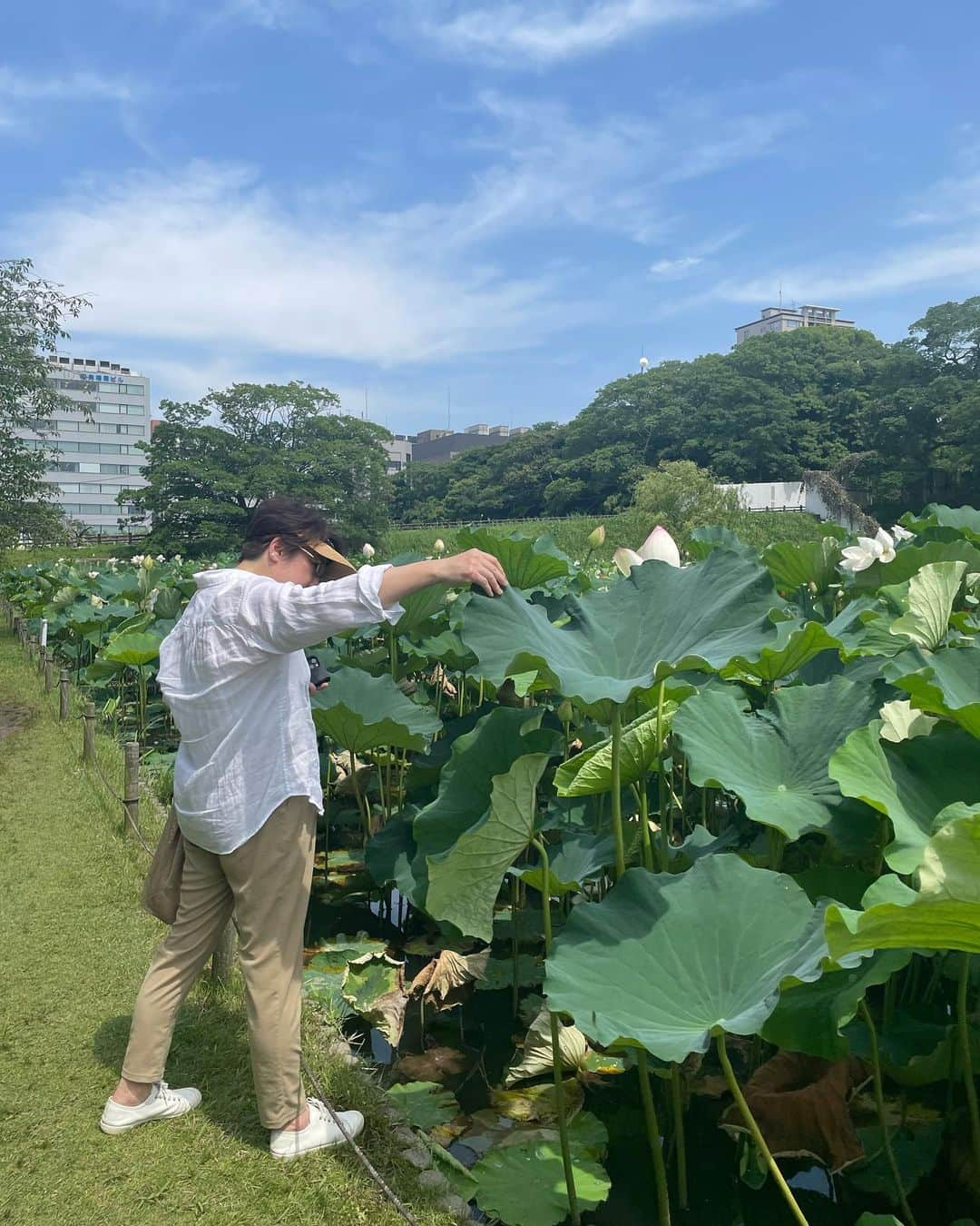 山本浩未さんのインスタグラム写真 - (山本浩未Instagram)「博多遠征2日目  #姉弟子由美ちゃん の朝ごはんいただいて、 バス乗って舞鶴公園の蓮を見ながら散歩して、 由美ちゃんのママさんの "白いシチュー" をいただいて福岡空港へ  #滞在時間27時間の旅」7月10日 0時17分 - hiromicoy