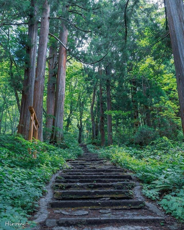 楽天トラベル さんのインスタグラム写真 - (楽天トラベル Instagram)「投稿を保存して見返してね😊 毎日おすすめの観光スポットやホテルを紹介している 楽天トラベル💚 👉@rakutentravel  ーーーーーーーーーーーーー  本日は、長野県にある日本有数のパワースポット戸隠神社を紹介します🌲 霊山・戸隠山の麓、奥社・中社・宝光社・九頭龍社・火之御子社の五社すべての神様をめぐる「五社巡り」が有名です。  まるで映画の世界と錯覚する、樹齢400年超の杉並木が織りなす景観は圧巻😮  ーーーーーーーーーーーーー  📍#戸隠神社 長野県長野市  Special Thanks💓📸Photo by @hiromitravel  ーーーーーーーーーーーーー  #rakutentravel をつけて投稿してくだされば、 あなたの撮った写真が楽天トラベルアカウントに掲載されるかも👀  トレンドから定番まで、来週のワクワクを叶える楽天トラベルの旅マガジン👜💕楽天トラベルをフォローして理想の旅をみつけてね🛫@rakutentravel  今までの旅行の体験談や感想など コメントに書いてね✏  ーーーーーーーーーーーーー」7月10日 18時00分 - rakutentravel