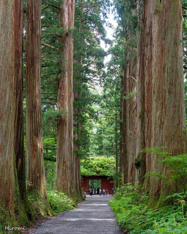 楽天トラベル さんのインスタグラム写真 - (楽天トラベル Instagram)「投稿を保存して見返してね😊 毎日おすすめの観光スポットやホテルを紹介している 楽天トラベル💚 👉@rakutentravel  ーーーーーーーーーーーーー  本日は、長野県にある日本有数のパワースポット戸隠神社を紹介します🌲 霊山・戸隠山の麓、奥社・中社・宝光社・九頭龍社・火之御子社の五社すべての神様をめぐる「五社巡り」が有名です。  まるで映画の世界と錯覚する、樹齢400年超の杉並木が織りなす景観は圧巻😮  ーーーーーーーーーーーーー  📍#戸隠神社 長野県長野市  Special Thanks💓📸Photo by @hiromitravel  ーーーーーーーーーーーーー  #rakutentravel をつけて投稿してくだされば、 あなたの撮った写真が楽天トラベルアカウントに掲載されるかも👀  トレンドから定番まで、来週のワクワクを叶える楽天トラベルの旅マガジン👜💕楽天トラベルをフォローして理想の旅をみつけてね🛫@rakutentravel  今までの旅行の体験談や感想など コメントに書いてね✏  ーーーーーーーーーーーーー」7月10日 18時00分 - rakutentravel