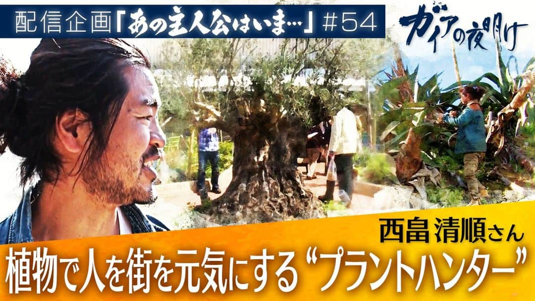 テレビ東京「ガイアの夜明け」のインスタグラム：「【隔週配信中】ガイアの夜明け配信企画「あの主人公はいま…」＃54  植物で人を街を元気にする“プラントハンター” 西畠清順さん  ■YouTube（過去回ダイジェスト） https://www.youtube.com/watch?v=tbHlpjQlPUk&list=PLirT2ByBZWrOwOArasVqXmCbw3QiI7vQu&index=1  ■テレ東BIZ（完全版） https://txbiz.tv-tokyo.co.jp/gaia/vod/post_277344  ２０１5年5月に放送したガイアの夜明け『今こそ、“植物”で人を呼ぶ！』。世界中から珍しい植物を集め、それを使ったイベントや施設で人を呼ぶ“プラントハンター”の西畠清順さんに密着。当時、神戸市のど真ん中にありながら、客が減っていた商業施設の屋上庭園を人気の場所にしてほしいと依頼された西畠さん。さっそく海外や国内で人の注目を集める植物を探し、庭園を一からつくり直そうと挑んでいた。あれから8年―。いまや国内外でも注目を集める存在となった、プラントハンター西畠さん。また新たな施設を植物で元気にしようとしていた。  ＃ガイアの夜明け　＃テレビ東京　＃プラントハンター　＃西畠清順　＃蟹江敬三　＃蟹江一平」