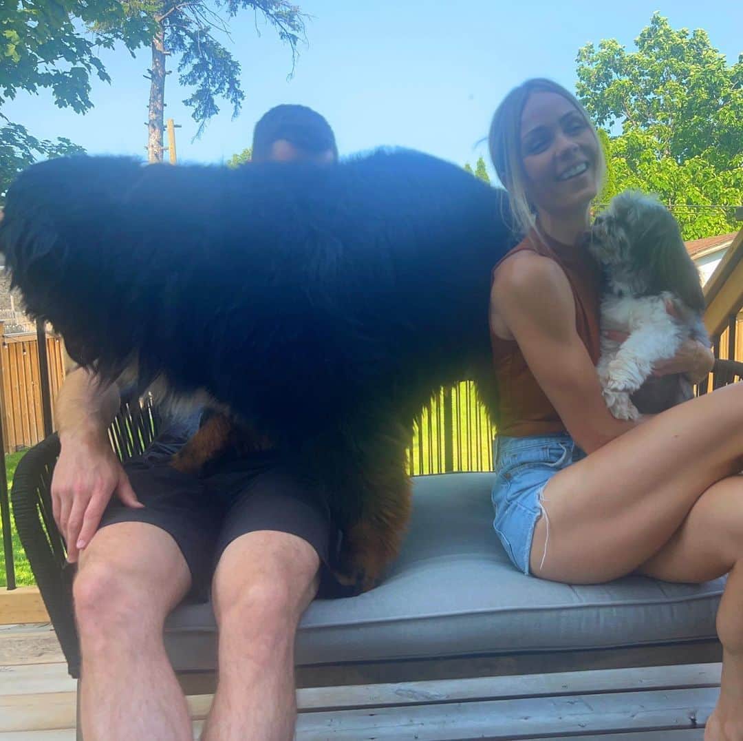 ローラ・ヴァンダーヴォートのインスタグラム：「We’ll family portrait time didn’t go as planned lol. It’s not the easiest with a big dog. We love Ted anyway. ❤️🐾🤣🤦🏼‍♀️」