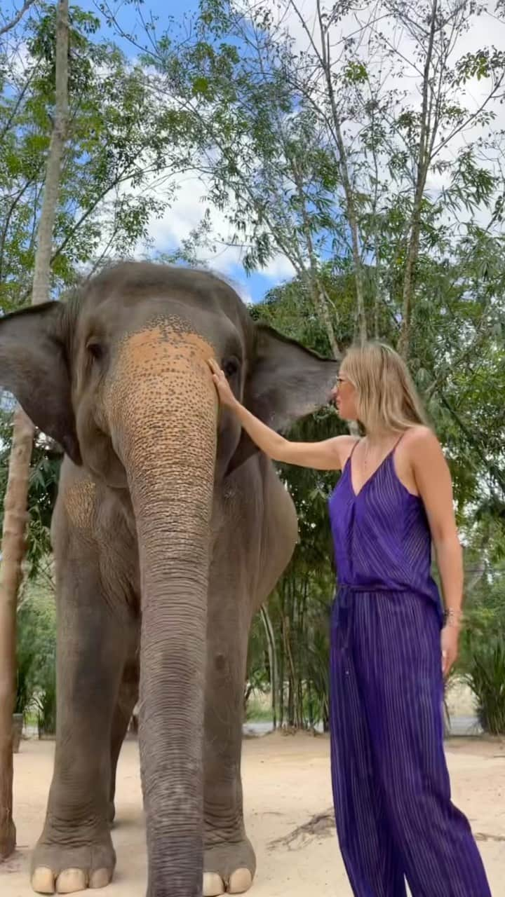 バネッサ・ハッペンコゼンのインスタグラム：「Fuimos a un santuario de elefantes rescatados en Phuket. Todos han sido maltratados y explotados. En el santuario se encargan de rehabilitarlos, bañarlos, alimentarlos y darles mucho amor. Nunca había tocado y estado tan cerca de este maravilloso y hermoso animal, se me ponía la piel chinita 🤍🐘 @theofficialpandora #pandorasquad23」