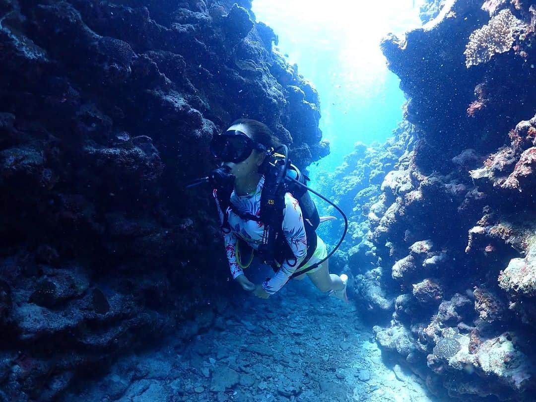 呉屋ありささんのインスタグラム写真 - (呉屋ありさInstagram)「. . 洞窟とか地形が好き  #🌏   @nobu_mahaloha  @ayaca.1224   ダイビングは mahalohaご夫婦にお世話になってま〰︎す  ライセンスもこちらで取ったよ✌️  いつも良いポイントあざす🐠  #diving  #dive  #okinawadiving  #nature #sports  #swim #myhobby」7月10日 8時55分 - arisa_goya