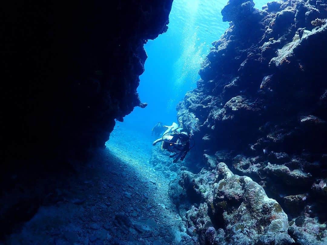 呉屋ありささんのインスタグラム写真 - (呉屋ありさInstagram)「. . 洞窟とか地形が好き  #🌏   @nobu_mahaloha  @ayaca.1224   ダイビングは mahalohaご夫婦にお世話になってま〰︎す  ライセンスもこちらで取ったよ✌️  いつも良いポイントあざす🐠  #diving  #dive  #okinawadiving  #nature #sports  #swim #myhobby」7月10日 8時55分 - arisa_goya