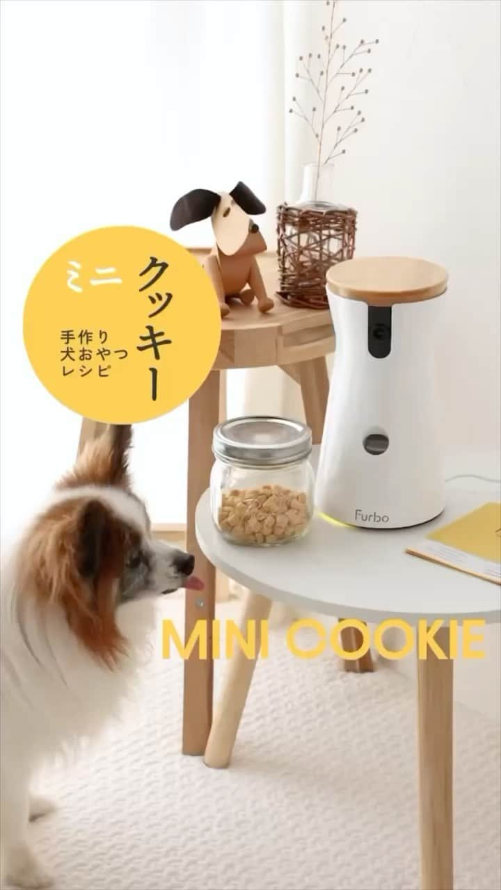 Furbo ドッグカメラのインスタグラム：「｜1cm程度のミニサイズクッキーのレシピです🐶 ⁡ おでかけ、しつけのごほうびはもちろん、 お留守番カメラ”Furbo”にセットしても💛 ⁡ とっても久しぶりに @furbo_japan とお仕事しました🐶🐶 ⁡ ⁡ ばにらとびすけはFurboが大好きすぎて 「はやくやろう！」 という圧を1時間おきにかけてきます。  ⁡ ⁡ さぁ、レシピどうぞ。 ⁡ ⁡ -——————————— 📝ミニサイズのプレーンクッキー 　（犬おやつレシピ） -——————————— ⁡ ⁡ 【材料】作りやすい量 ⁡ ・小麦粉（薄力粉）…… 100g ・米油 …… 大さじ2 ・水 …… 大さじ2と1/2 ⁡ ⁡ ⁡ 【作り方】 ⁡ ①ボウルに小麦粉、米油を入れ、全体に行き渡るように混ぜる。  ②水を加え、表面がなめらかになるまでこねる。  ③ラップに包み、冷蔵庫で20分ほど休ませる。  ④生地を5mm厚程度に伸ばし、1cm角に切る。オーブンの天板に並べる。  ⑤オーブンを160℃に予熱し、天板を入れて25分、底面に焼き色がつくまで焼く。 ⁡  ⁡ 【1日におやつとして与えていい量の目安】 ⁡ 犬の体重：量 ・1kg：2g ・3kg：4g ・5kg：6g ・7kg：8g ・10kg：10g ・15kg：14g ・20kg：17g ・30kg：23g ⁡ ⁡ 雨の日や夏の暑い日のおうち時間に、ぜひとも💛 ⁡ ⁡ ⁡ ⁡ ばにらとびすけは 飛び出すおやつ機能が楽しくて仕方ないらしく、 Furboの前で何時間でも待機してます😂 ⁡ わんこ達の日々の楽しみにも繋がってるのは私も嬉しい。 ⁡ ⁡ -—————— ⁡ #Furbo #ファーボ #犬用クッキー #クッキーレシピ #犬おやつレシピ #犬のおやつ #わんこおやつ #犬おやつ #犬用ケーキ #手作り犬おやつ #犬ごはん #ドッグフード #homemadedogtreats #homemadedogfood #강아지밥 #강아지수제밥 #강아지수제간식 #パピヨン #シニア犬 #ペット栄養管理士 #犬ごはん先生 #いちかわあやこ ⁡」