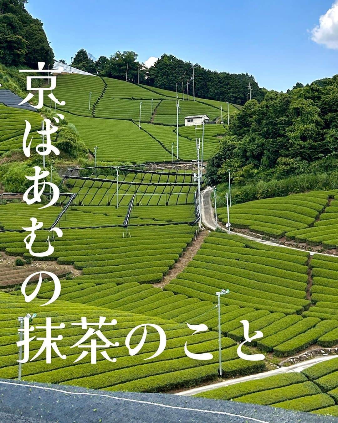 京ばあむ公式のインスタグラム：「\ 京ばあむの抹茶のこと /  京ばあむといえば・・・🤔💭  そう‼️ なんといっても"抹茶"ですよね🌿✨  ふわっと濃厚に香る抹茶の風味が 京都らしい"和"を感じさせてくれます🕊️  今回は京ばあむに欠かせない こだわりの抹茶についてご紹介します🙌🏻  ・  京ばあむに使用している抹茶は 契約農家👨🏻‍🌾さんから仕入れている こだわりの"宇治抹茶"です🌿  「生産者の顔がわかる原料で商品を作りたい」 という思いから、 契約農家さんの抹茶を使用するようになりました🤲🏻  実は ...👀‼  京ばあむの箱の中には 抹茶の生産者さんや茶畑の様子を紹介する 栞が入っています🤭✨ ※現在リニューアル準備中です！  しかも...‼️ 茶葉の収穫時期に生産者さんの茶畑へ 訪問・撮影📸をさせていただき、 栞の写真やデザインを毎年更新しております🤩  次回お召し上がりの際は 是非、栞にもご注目くださいませ👀✨  丁寧に心を込めて、 育てられた抹茶を使用している京ばあむ。  色鮮やかな濃い緑の美しさ、 宇治抹茶の濃厚で豊かな香りを 是非お楽しみください🤤💕  生産者さんの想いよ、皆さまへ届け〜！🕊️✨  #京ばあむ #アトリエ京ばあむ #atelier京ばあむ #バームクーヘン #抹茶スイーツ #抹茶 #京都 #京都スイーツ #京都土産 #しっとり #ほわほわ #baumkuchen #kyobaum #kyoto #おやつ #抹茶 #宇治抹茶 #茶畑 #生産者 #渡辺製茶 #田山南部共同製茶組合」