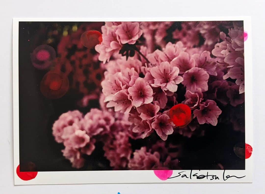 大塚咲のインスタグラム：「写真にペイント」