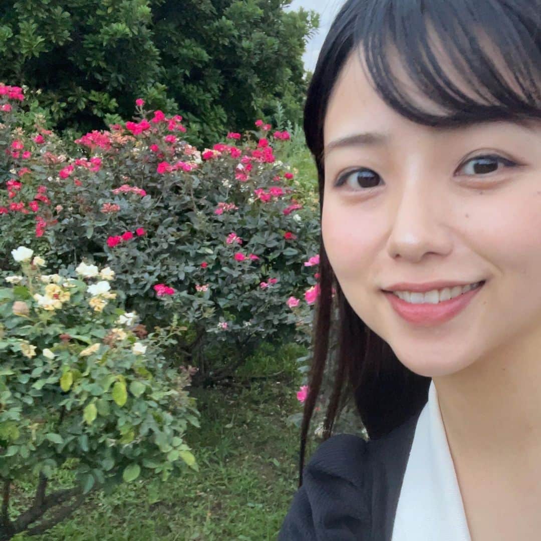 久田莉子のインスタグラム：「． この間山下公園に寄った時花がきれいだった！ おすそ分け〜〜 海も見れたよ ． #山下公園 #横浜 #横浜中華街 #ootd #summer #flower ．」