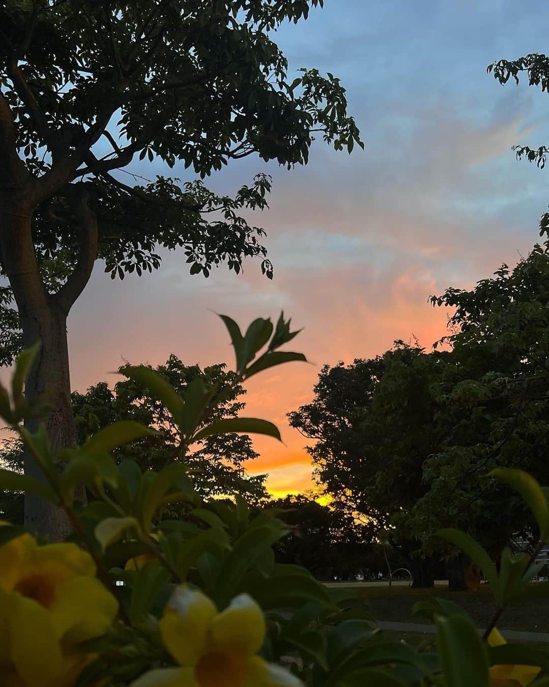 崎山一葉のインスタグラム：「* 夕立のあと、 空がすごく綺麗でうっとり見惚れて "さぁ帰るぞ"と振り返ったら 虹が掛かっていた🌈  なんて良い時間なんだろ。  #沖縄」
