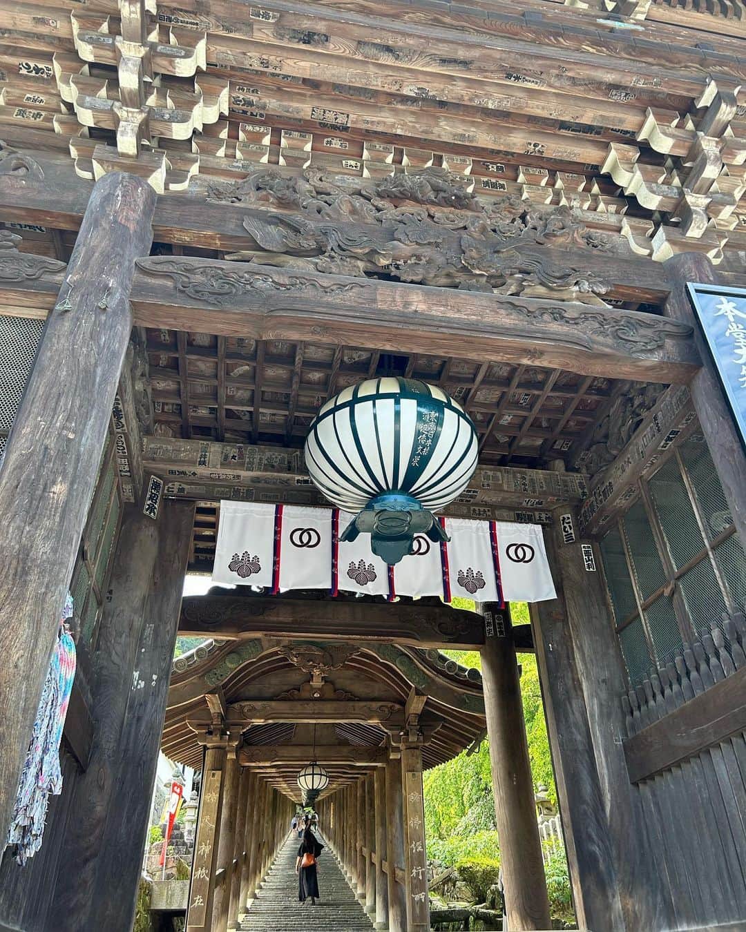 黒澤詩音さんのインスタグラム写真 - (黒澤詩音Instagram)「連日真夏日が続いていますね。 6月の初めに日帰り #奈良 へ。  #あじさい回廊 ✨　  まずは花のみてら、#長谷寺 。 多くの古典文学や歌にも詠まれているこちらで歴史詣り。  国宝の登廊は、階段を一段一段のぼるごとに透き通った気持ちに。ご本堂は清水の舞台のよう。  紫陽花ひしめく階段は、気持ちが華やぎます。本当に素敵だった〜。嫋やかで愛らしい花々たち。  もう１箇所は、#岡寺 （龍蓋寺）。 そして壷阪寺を合わせた計３箇所にて、紫陽花巡りの『#あぢさゐ回廊』が毎年6月に行われています。  その期間限定で授与される 紫陽花花切り絵御朱印がこの日のお目当て。 ときめいちゃいました！カワイイ！ でも私の持ってるご朱印帳のサイズと合わないという誤算。笑  岡寺は、自然を全力で感じられる静謐なお寺さん。 緑青美しい青葉の茂りの中で、岩を滑るように水が流れ、初夏の柔らかな光が降り注ぐ空間。思わず深呼吸を。 こちらの紫陽花は、みずみずしく涼やか。  青紅葉もキラキラと。 花手水にはダリアも。 自然が生み出す鮮やかな色味が実に明媚。  ちなみに、長谷寺は＂わらしべ長者＂の発祥の地でもあるそう。（御朱印の書き手さんが教えてくださりました。） 『寺を出て　はじめて手にしたものが　贈り物だからもってきなさい』  …お寺を出て、私は何を手にしたでしょう。笑  こうした凪いだ時間が人生の福。  学生時代に修学旅行で訪れた以来の奈良。 半日程の滞在でも充分楽しめました！  先日、ギリギリ鎌倉の紫陽花寺にも伺えたので 今年は紫陽花を満喫できました✨  昨日は #七夕賞 🎋 今年は七夕のお願い事をし忘れましたが、 セイウンハーデスの強い走り見事でした！  今日明日は北海道でセレクトセール 🏇 どんなスターホースに巡り合えるのでしょう☺️  #nara #奈良 #寺 #紫陽花寺  #紫陽花 #寺社巡り #ご朱印巡り」7月10日 11時33分 - shionkurosawa_official