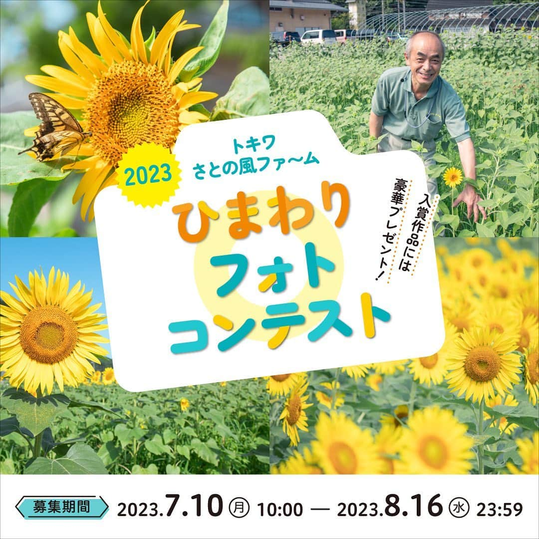 べんりで酢のトキワさんのインスタグラム写真 - (べんりで酢のトキワInstagram)「📷🌻☀️ ＼「ひまわりフォトコンテスト」開催！参加者募集中！／  第1回トキワさとの風ファ～ムひまわりフォトコンテスト2023 を開催いたします🎉  皆さまが撮影したさとの風ファ～ムのひまわりの魅力あふれる写真を大募集！ 入賞された方には豪華賞品をプレゼントいたします🎁  この夏、さとの風ファ～ムでは約4万本のひまわりが咲き誇ります！ 夏の絶景をぜひ写真に収めてはいかがでしょうか♪  たくさんのご応募をお待ちしております🗣🙌  ◆募集期間◆ 7月10日（月）～8月16日（水）  ◆参加方法◆ ①【トキワさとの風ファ～ムのひまわり】 が写っている写真を投稿  ②投稿文に 「#さとの風ファームフォトコンテスト」「#TSFひまわり2023」 の2つのハッシュタグをつけて投稿  ●１投稿で複数枚写真を投稿された場合は、1枚目の写真を選考対象といたします。 ●１アカウントで複数回投稿された場合は、1番最初の投稿を選考対象といたします。 ●公開アカウントからの応募のみ選考対象とさせていただきます（入賞写真とアカウント名をHPやSNSにて発表させていただきます） ●Instagram・Facebookのストーリーズでの投稿は選考対象外とさせていただきます。 ●主催者からの返信は、入賞された方のみとさせていただきます。（9月上旬頃）  ◆賞品◆ 最優秀賞　1名 「みたにれんげ舞」米10kg トキワ商品お楽しみセット （べんりで酢1L・なんでもごたれ1L・え～だし1L・ボーノdeトマト500ml・ママぽん360ml・但馬牛焼肉・ステーキ醤油360ml・梅ごこち360ml×各1本）  優秀賞　1名 「みたにれんげ舞」米5kg トキワ三大調味料1.0Lセット （べんりで酢1L・なんでもごたれ1L・え～だし1L×各1本）  特別賞　3名 「みたにれんげ舞」米5kg トキワ三大調味料360mlセット （べんりで酢360ml・なんでもごたれ360ml・え～だし360ml×各1本）  ファ～ム長賞　10名 梅ごこちストレート10本セット ※都合により、商品内容が変更になる場合がございます。  素敵なひまわりの写真をお待ちしています😚🌻  ※応募に関する詳細は下記サイトをご確認ください。 https://a-aji.jp/close_up/2023tsf_himawariphotocontest/  #さとの風ファームフォトコンテスト #TSFひまわり2023 #トキワ #さとの風ファーム #べんりで酢 #なんでもごたれ #えーだし #キャンペーン #フォトコンテスト #ひまわり #但馬 #香住」7月10日 12時00分 - tokiwa_official_tajima