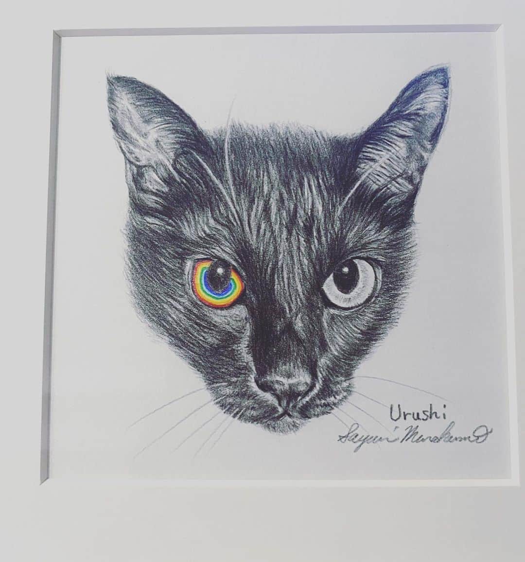 クリスタルボーイのインスタグラム：「@murakumosayuri @uru_lala #漆 #ウルシ　#黒猫　#保護猫  フリーター時代  大須のスニーカーショップでバイトしてました  その時のバイト仲間の村雲ちゃんって子が絵を描いている事を知りまして  おまけに猫の絵ばっか描いてるじゃん！  ならば描いてもらうしかないと御願い致しました  とてもカッコよく描いてくれて妻も喜んでますし、絵を飾ったらなぜか絵を見て楽々が大喜びしてました♡  ありがとうございました  家族に猫ちゃんがいる方は是非、村雲画伯に御依頼ください」