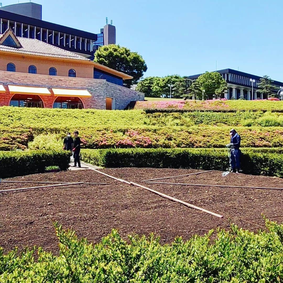 日本工学院さんのインスタグラム写真 - (日本工学院Instagram)「土木造園科の学生が、西洋花壇の植え付けをしました💁‍ . 八王子校舎に来たときは、ぜひ一度ご覧になってください😁 . . 「#日本工学院」をチェック！！ 学生が投稿したリアルな日常風景を見ることができますよ！ . . #nihonkogakuin #専門学校 #日本工学院八王子専門学校 #日本工学院専門学校 #教職員投稿写真 #土木造園科 #若きつくりびと #土木スタグラム #土木 #土木業 #造園 #造園業  #ドボ女 #ドボジョ  #現場男子 #現場女子 #花壇 #花壇diy #花壇づくり」7月10日 12時21分 - nihonkogakuin