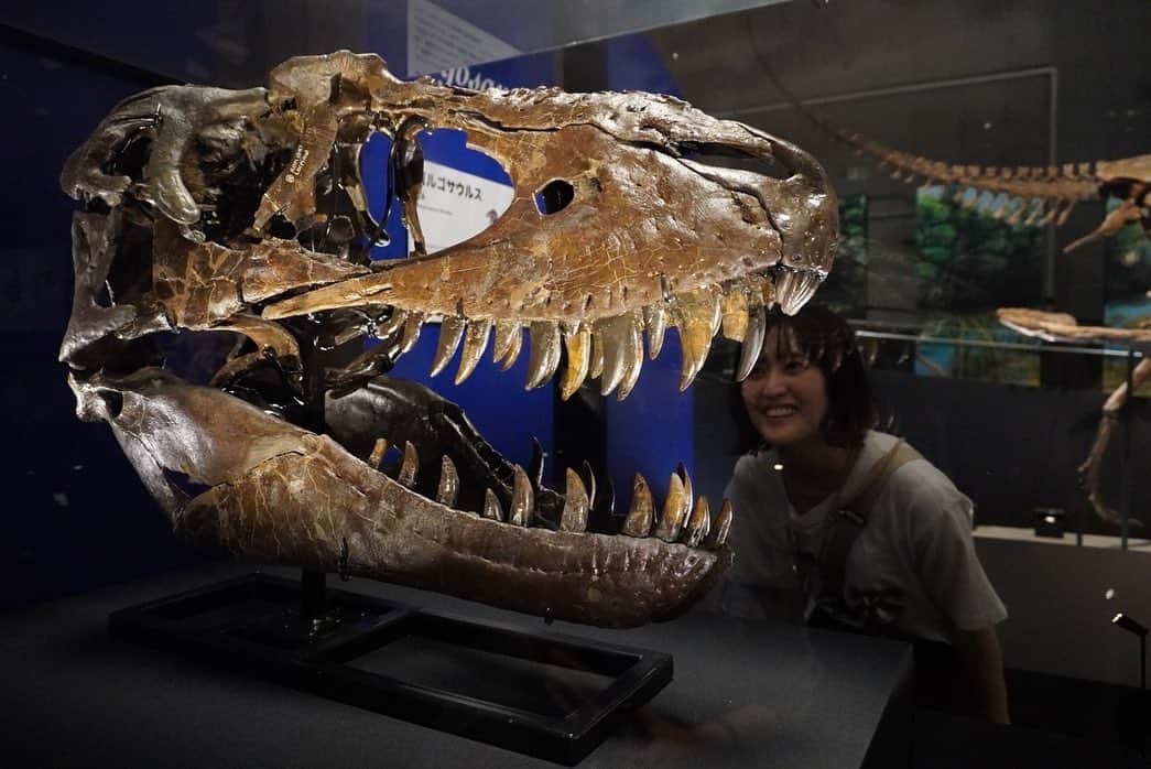 岩井七世さんのインスタグラム写真 - (岩井七世Instagram)「この夏、恐竜ショーに出演します🦖  福井県立恐竜博物館のリニューアルオープンを記念したライブショー。等身大の恐竜たちと一緒にお芝居ができる、わたしにとって夢のような公演です。それも恐竜博物館で！とっても楽しみ！！！  2023.7.22〜8.20 DINO A LIVE in福井恐竜博物館 『蘇った福井の恐竜たち』  https://www.dinosaur.pref.fukui.jp/dino-a-live/  博物館のサイトでチケット発売中！ 子供も大人も恐竜が大好きになっちゃう魔法の時間をお届けします。  (※岩井の出演回は未定です。 また追ってお知らせいたします🙏)  夢って叶うんだ！❤️‍🔥  #DINOALIVE #dinosaur  #恐竜 #恐竜ライブ #福井県立恐竜博物館  #ジュラシックガール」7月10日 13時06分 - nanaseiwai