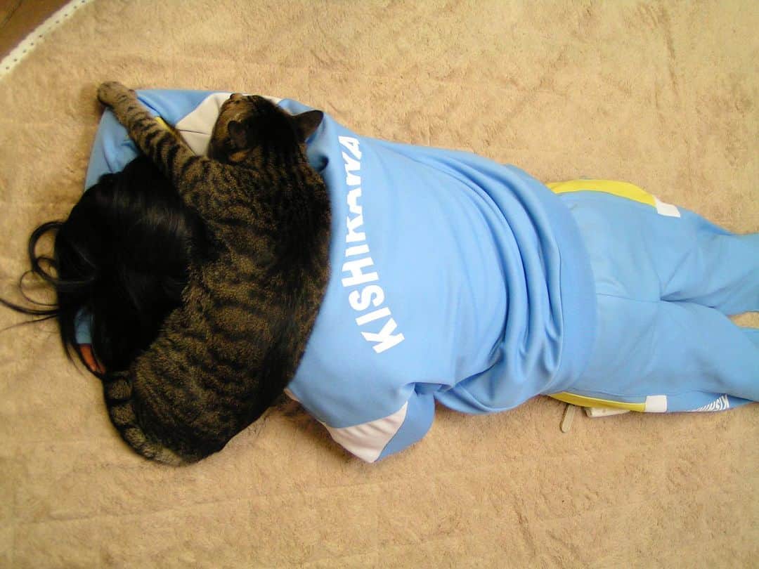 Kachimo Yoshimatsuさんのインスタグラム写真 - (Kachimo YoshimatsuInstagram)「0の付く日は、レオ爺の日｡ 2006年12月 Photo:2006.12 お茶目なレオ爺。 娘がカーペットで寝てたら…  #うちの猫ら #レオ爺 #leo #猫 #ねこ #ニャンスタグラム #にゃんすたぐらむ #ねこのきもち #cat #ネコ #catstagram #ネコ部 http://kachimo.exblog.jp」7月10日 13時57分 - kachimo