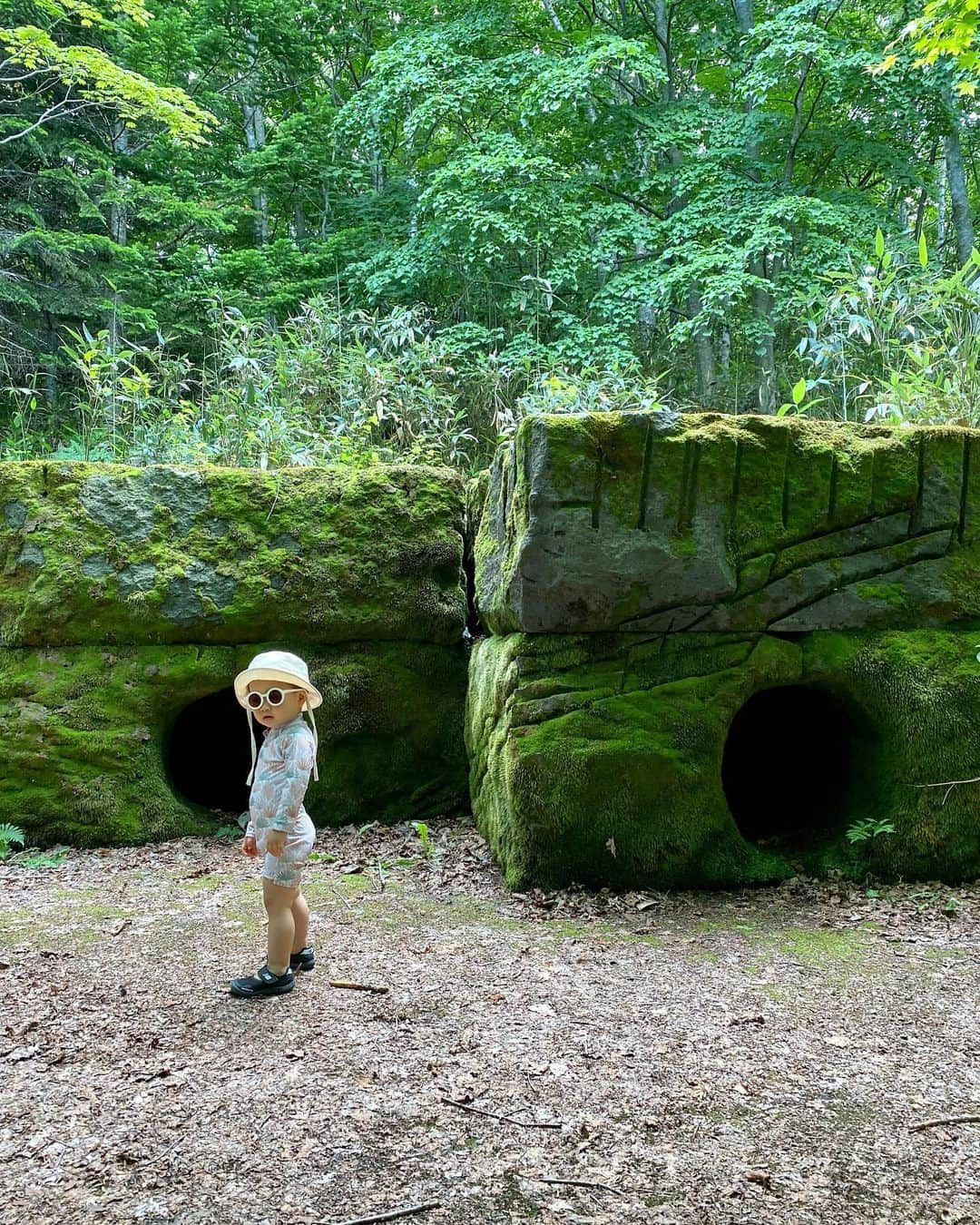 ◆miki◆のインスタグラム：「* * 2023.7.4  滝野すずらん公園📍  札幌からチョロ〜っと走ったら この景色堪能できちゃうんだから🌳  トトロ出てきそうじゃろ？🩷  #ひわわんの成長記録#第3子#男の子ママ#男の子#キッズボーイ#kidsboy#べびすたぐらむ#ひわわん#hiwamovie  #滝野#滝野すずらん公園 #滝野すずらん丘陵公園 #札幌 #札幌観光」