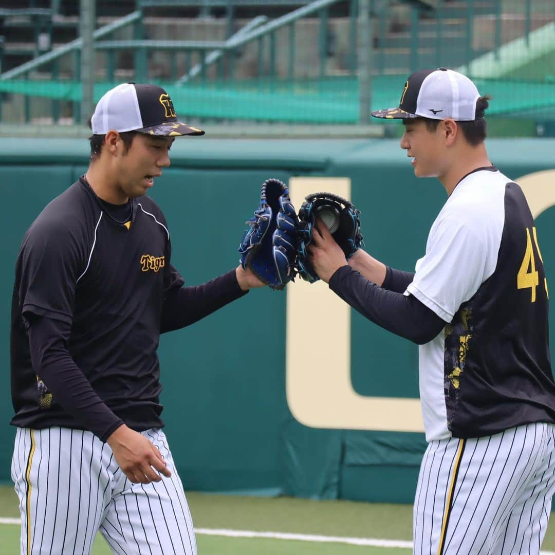 阪神タイガースさんのインスタグラム写真 - (阪神タイガースInstagram)「7月10日、甲子園球場での先発投手陣の練習の様子です！ #青柳晃洋 選手 #大竹耕太郎 選手 #村上頌樹 選手 #西純矢 選手 #才木浩人 選手 #安藤優也 コーチ #阪神タイガース  #ARE」7月10日 15時31分 - hanshintigers_official