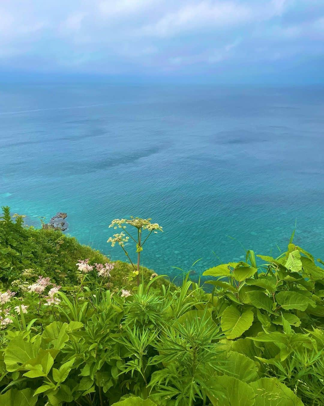 農海姫夏さんのインスタグラム写真 - (農海姫夏Instagram)「北海道の絶景🫣⛰🌊」7月10日 16時40分 - hina_noumi