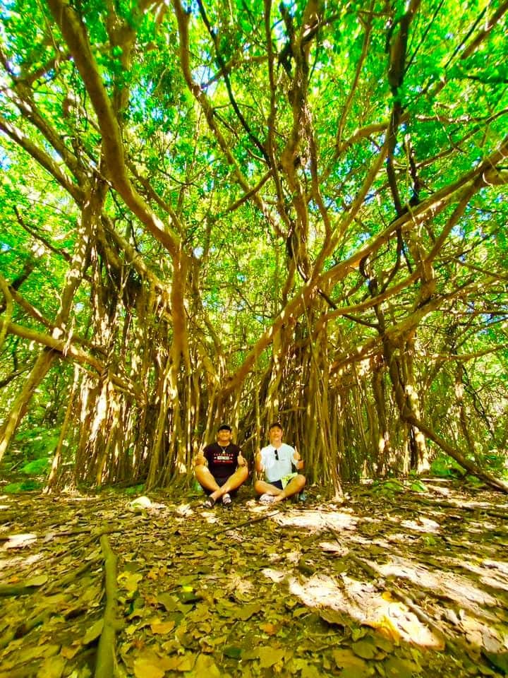 畑喜美夫さんのインスタグラム写真 - (畑喜美夫Instagram)「やんばる国立公園でのガジュマルの木の下でパワーいただき、瀬名波で波動高めて、周波数がバリバリ上がりました‼️」7月10日 17時14分 - kimio.hata