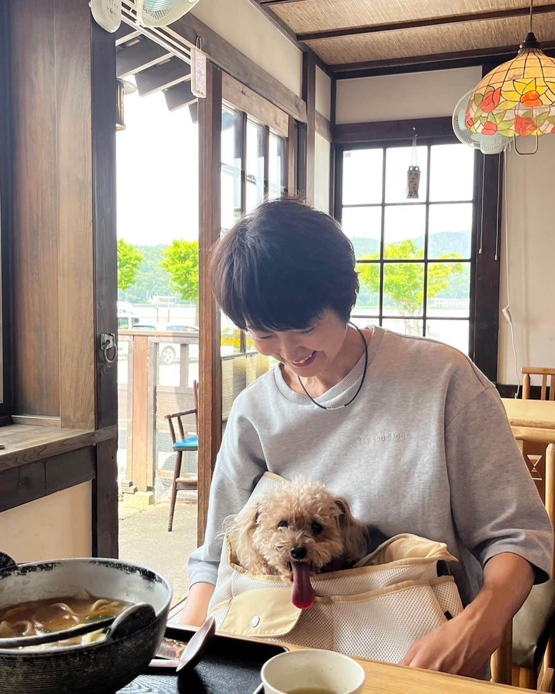 中島はるみさんのインスタグラム写真 - (中島はるみInstagram)「先日のお出かけ写真 愛犬と入れるお店で 山梨の郷土料理　ほうとうを頂きました。 カボチャのほうとうを選び、ルクルにカボチャをおすそ分け。 でも、ちはるの豚肉ほうとうに釘付け笑 ５枚目、絶対嬉しすぎる顔してるよね？ きっとお出かけが嬉しかったんだね❤️」7月10日 17時36分 - harumi_nakajima