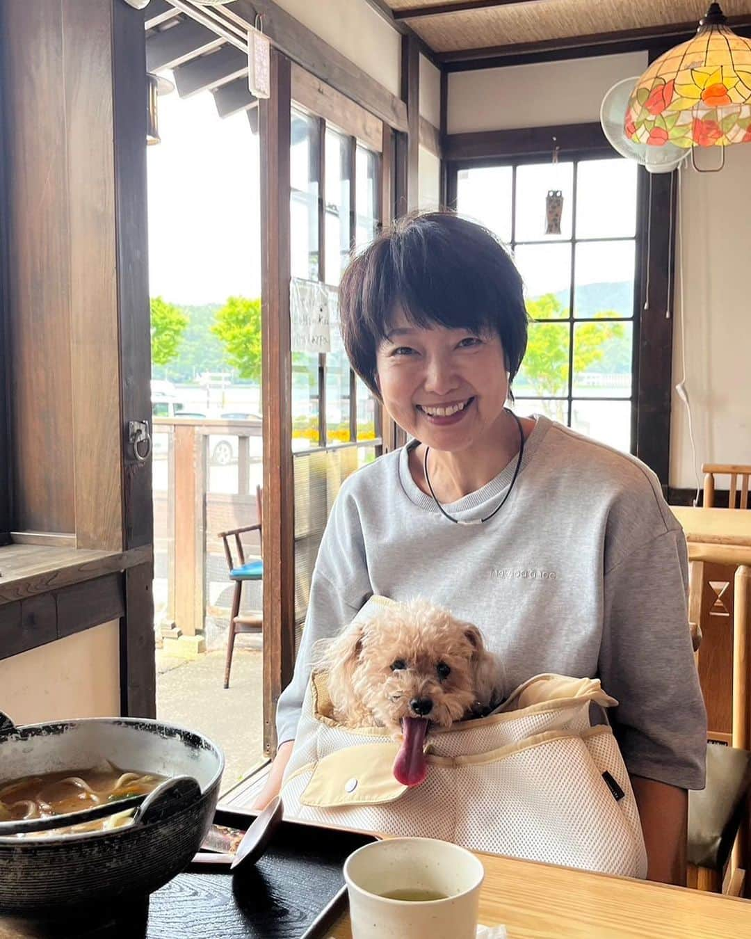 中島はるみのインスタグラム：「先日のお出かけ写真 愛犬と入れるお店で 山梨の郷土料理　ほうとうを頂きました。 カボチャのほうとうを選び、ルクルにカボチャをおすそ分け。 でも、ちはるの豚肉ほうとうに釘付け笑 ５枚目、絶対嬉しすぎる顔してるよね？ きっとお出かけが嬉しかったんだね❤️」