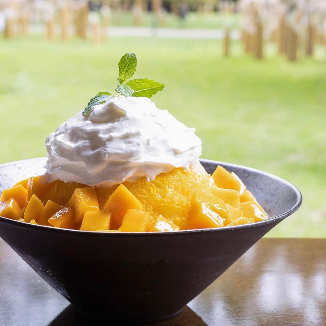 グランドプリンスホテル新高輪さんのインスタグラム写真 - (グランドプリンスホテル新高輪Instagram)「. 〜マンゴー好きにはたまらない〜✨ひんやり楽しむ夏のかき氷✨  人気のマンゴーかき氷にヨーグルトのムースをあしらった一品。食べ進めていくと、中にはマンゴーシャーベットが！ 濃厚なマンゴーと爽やかなヨーグルトの酸味が織りなすハーモニーを楽しみながら、開放感あふれるラウンジ光明にて、プレミアムな夏を満喫してみてはいかがでしょう🌿  ※こちらのメニューは7月21日(金)よりお楽しみいただけます。  Our mango shaved ice topped with yogurt mousse is popular during the summer season. Dig your spoon in the ice, and you will find the hidden mango sorbet! How about spending a fantastic summer with a fruity shaved ice?  ※ You can enjoy this menu from Friday, July 21st.  #グランドプリンスホテル高輪 #ラウンジ光明 #プリンスホテル #高輪廿六夜 #月待ち #日本庭園 #高輪時間 #かき氷 #夏スイーツ #マンゴー #マンゴーかき氷 #夕涼み #takanawanijurokuya #grandprincehoteltakanawa #shavedice #japanculture」7月10日 18時06分 - grandprincehotel_shintakanawa