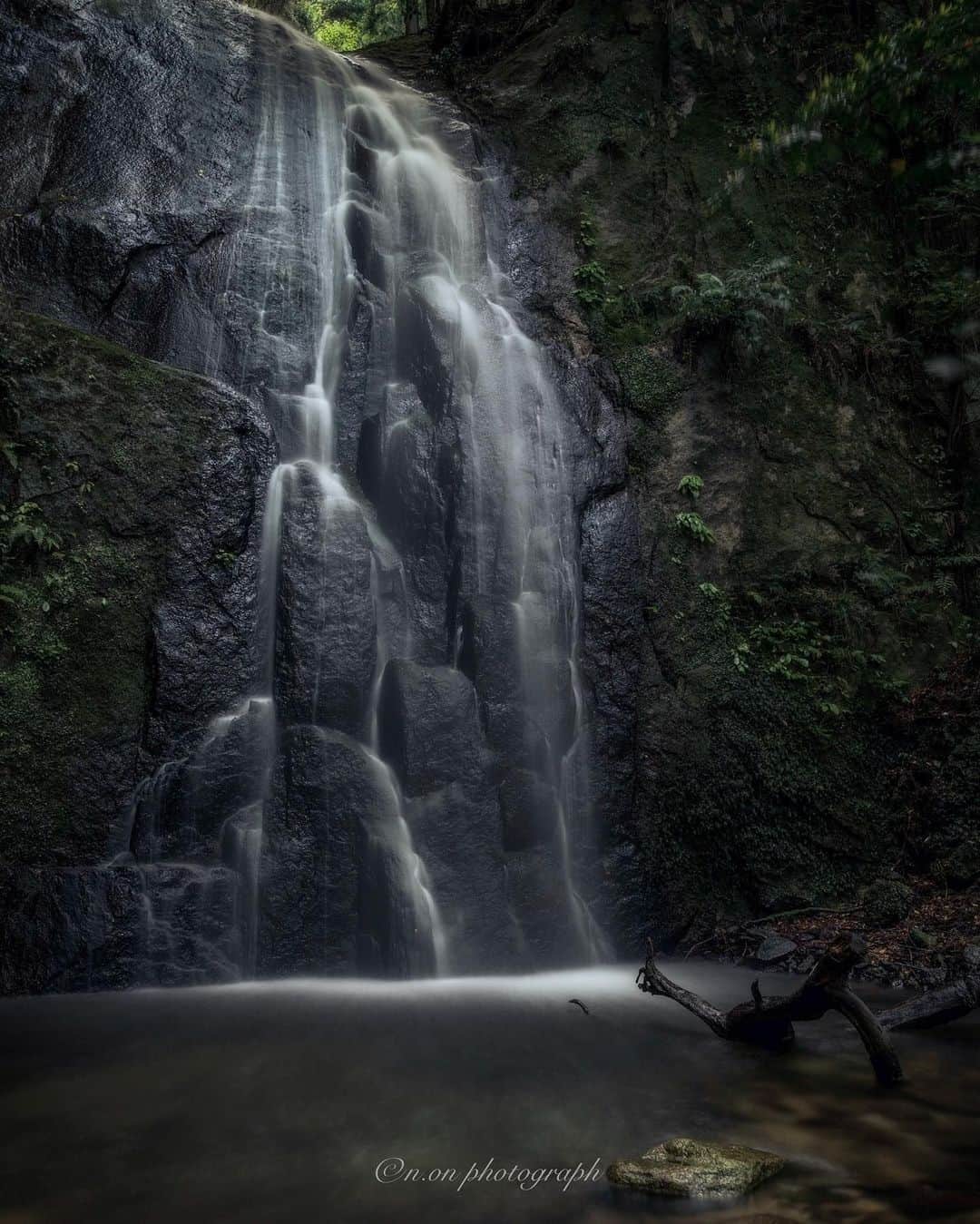 Visit Wakayamaのインスタグラム：「. Nature is a true artist. Refresh your senses at Yudo Waterfall, along a forest trail in Nachikatsuura. 📸 @n.on_jp 📍 Yudo Waterfall, Wakayama  . . . . . #discoverjapan #unknownjapan #instajapan #landscape #japan #japantrip #japantravel #beautifuldestinations #wakayama #wakayamagram #explore #adventure #visitwakayama #travelsoon #visitjapan #travelgram #stayadventurous #igpassport #explorejapan #lonelyplanet #sustainabletravel #bucketlist #roadslesstraveled #chasingwaterfalls #summerinjapan #summerbreak #summervaycay #yudofalls #nachikatsuura #forestbathing」
