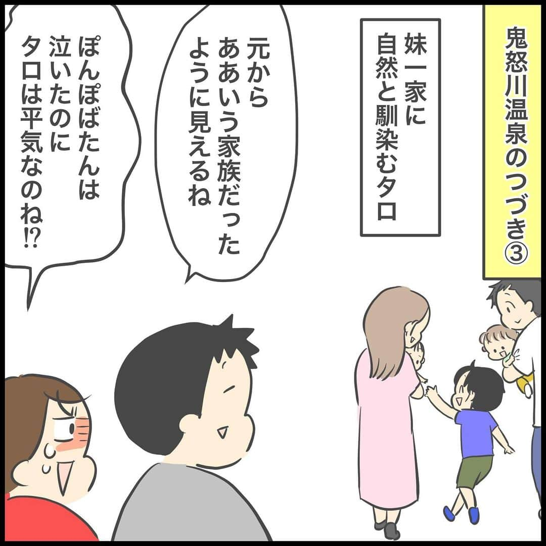 ぽんぽんのインスタグラム：「♨️鬼怒川温泉の話③♨️  間が空いてすみません🙇‍♀️  お醤油屋さんのお醤油が美味しくてね！ 味見をさせてもらって、どっち買おうかなって悩んでたらパパがどっちも買おう！！！！って言ってくれて、その後味見したやつもなんだかんだで全部買ってしまった。笑 （騙されている意味でもカモじゃなくて、お誘いにすぐ乗っちゃうような、断れない…そんな意味でのカモです鴨）  醤油も醤油塩も家でめちゃくちゃ使ってます。卵かけご飯、バター醤油ご飯、お刺身、海鮮丼、カルパッチョに目玉焼きとゆで卵！  どうする家康は観てなくて…見てたら絶対興奮してただろうなってちょっと後悔。笑 店員さんの熱意でこれは観た方がいいやつだ！って思ったのでどこかで見逃し配信で見ようと思います。（松潤好きだし。花より男子のイメージが強い）  ✂️文章多いのでこちらで切ります✂️  全文読みたい方はブログで読んでください✨✨  次回温泉とバイキング！ ブログで先読みもできるよ🙌  #鬼怒川温泉　#家族旅行　#親族旅行　#古釜の滝　#姪  #タロ　#9歳　#4年生 #ジロ　#7歳　#2年生  #2歳差 #兄弟  #ぽんぽん #育児漫画 #ライブドアインスタブロガー」