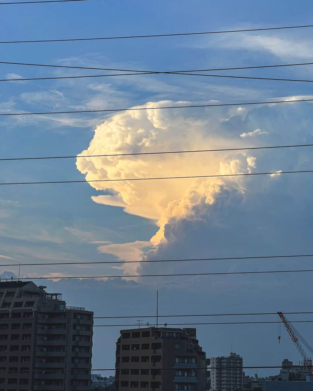 永井響のインスタグラム：「🐻‍❄️✨☁️」