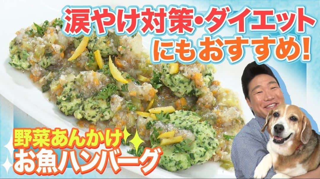 みやぞんのインスタグラム：「【本日配信🐶】  #みやぞん ＆ラブちゃんと #ドギーマン のYouTubeコラボ第3弾！🐾  今週は #涙焼け 対策や #ダイエット にもオススメな『お魚ハンバーグ』を私が作ります🐟✨  みなさんもこの動画を見て、一緒にわんちゃんと一緒に食べれるハンバーグをぜひ作ってみてください☺ 簡単だよ👍 youtu.be/ghiY7gaRAl8  #手作り料理 #ハンバーグ」