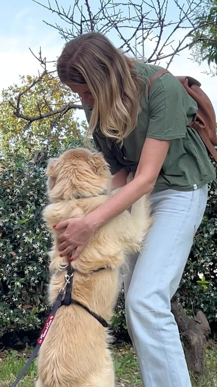 Alessia Marcuzziのインスタグラム：「Quando le ragazze dell’associazione @untesorodicane hanno trovato Lucky, si trovava in condizioni veramente terribili ma, insieme a Luce, abbiamo deciso di accettare la sfida e intervenire per fare tutto il possibile per aiutarlo. Grazie a tutti voi, oggi Lucky è veramente un altro cane. Incontrarlo di persona e vedere tutti i progressi che sono stati possibili grazie alle cure e alle attenzioni che gli sono state dedicate è stata un’emozione bellissima. Lucky è fantastico, è buono, dolce e intelligente (e anche un figaccione ora, non trovate?). Adesso ha solo bisogno di una famiglia che lo ami! Se qualcuno è interessato all’adozione di Lucky e desidera maggiori informazioni, vi lascio il link al sito dove potete fare la richiesta. Grazie a tutti coloro che hanno supportato questa nostra piccola iniziativa!❤️🙏 @lucebyalessiamarcuzzi」