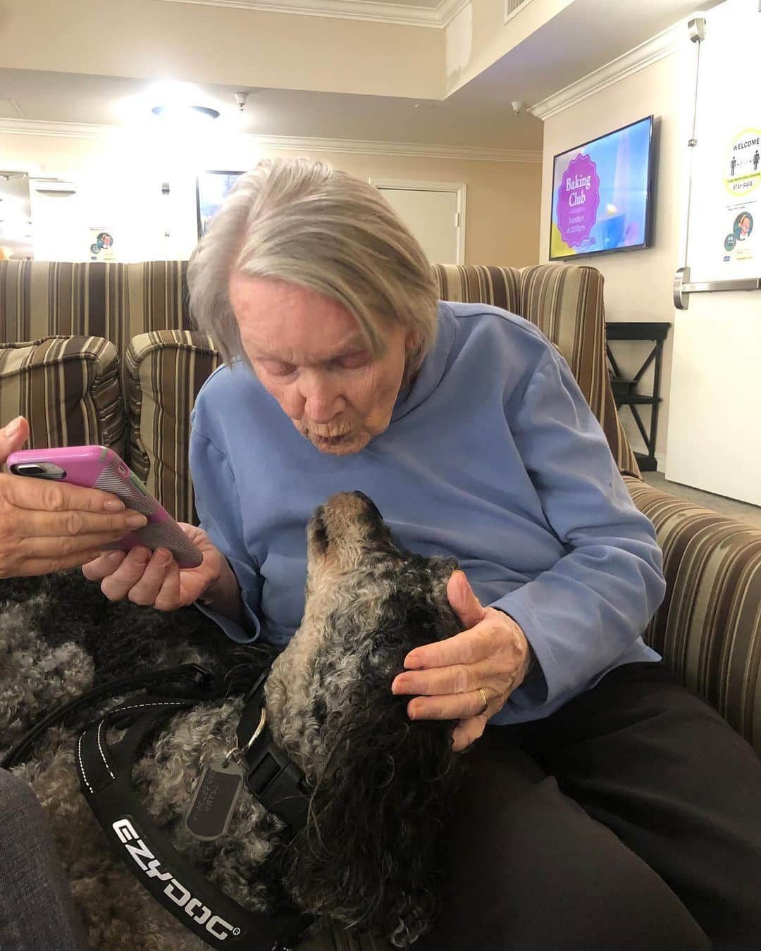 ジョー・アドラーさんのインスタグラム写真 - (ジョー・アドラーInstagram)「My grandma Dolores was feisty, stubborn, snarky, sassy… a true alte kaker, but loving as can be. And often times quite silly too. I’d like to think I got some of those qualities from her. Both rams. Both vays kop.   I have many memories with her that I’ll never forget. From trips together around the world to tales of her modeling days in New York. Having her plain buttered bagel (toasted) every time I came to visit her in nyc as a kid and sitting out on the terrace stands out in this moment. I’m sure that’ll change; thankful for all of them.   Here’s to you, Dolly. Playing some Sinatra in your honor. Go give your guy a hug, and one from me too. Love you.」7月11日 4時26分 - jpadler