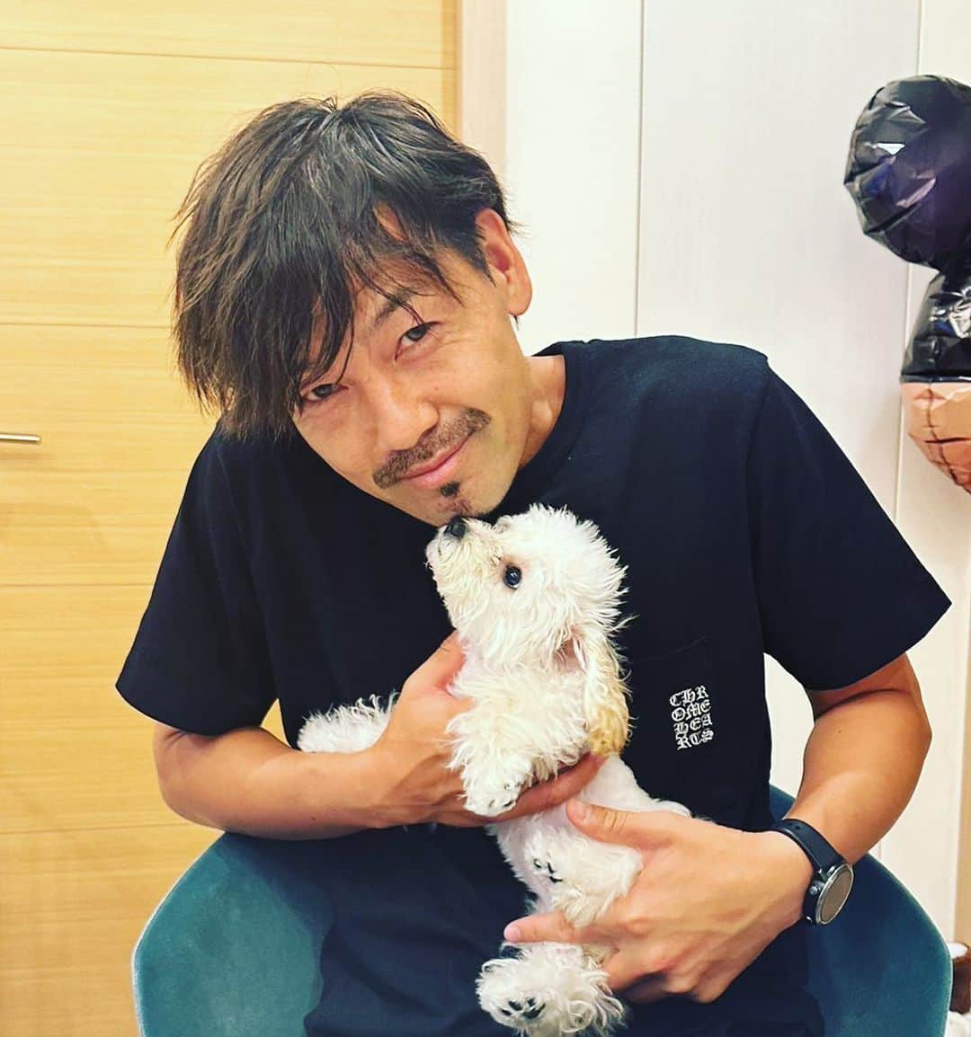 松井大輔のインスタグラム：「ワンチャン可愛いよね〜  #dog #わんこ #犬 #かわいい #癒し」