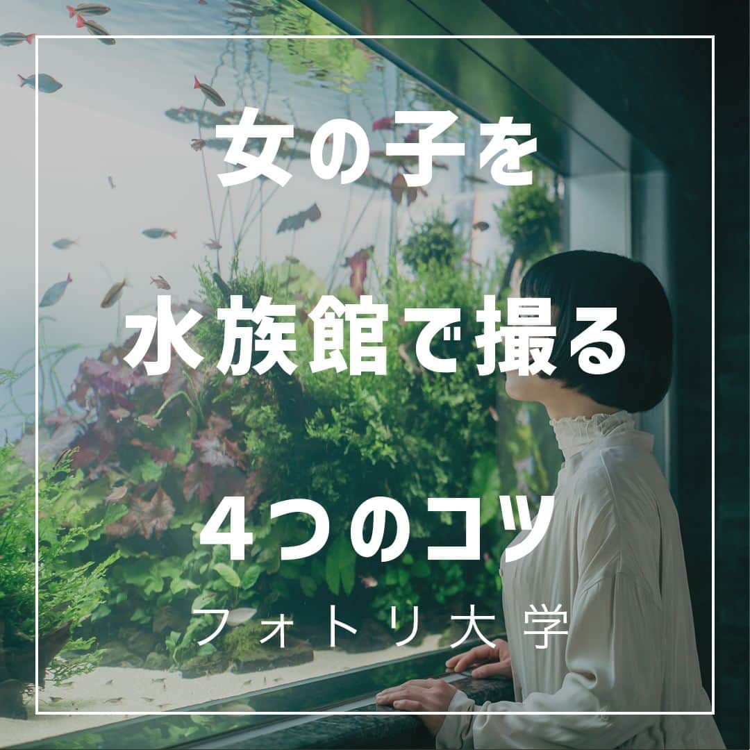 フォトリ Magazineのインスタグラム：「【女の子を水族館で撮る４つのコツ】  暑い季節になりましたね！ 涼みながら水族館で綺麗な写真を撮りましょう！  講師はフォトリカメラマン　まるちゃん  @marubhangram4 . 「参考になった！」と思った方は、いいね♡を押してい ただけると嬉しいです😍 . あとで参考にするときのために、投稿を保存しておくと 便利です♪ . . . 「何気ない日常の中で、元気をもらえる瞬間」が撮影で きたら #写真で明日をもっと楽しく のタグをつけて、お写真投稿 してね🙆‍♀️ 投稿してくださった方の中から、紹介させていただきま す✨  --------------------------* . 👩‍👩‍👧‍👧写真で明日をもっと楽しくするオンラインサロン「フ ォトリ大学」 人数限定のオンラインコミュニティです。みんなと繋がる 、写真が上達する、アットホームな場所です🙆‍♀️ . 💪カメラマン養成講座　フォトリ大学プロ 無料体験実施中！初心者からでも安心のパーソナルトレー ニングでぐんぐん上達 . 詳しくはURLから🙆‍♀️ --------------------------*.  #一眼レフ初心者 #カメラのある生活  #ファインダー越しの世界 #その瞬間に物語を  #何気ない瞬間を残したい #ig_japan #ママカメラ  #カメラ上手くなりたい #写真上手くなりたい  #ノスタルジーな瞬間を #カメラのある生活  #ポトレのセカイ #写真教室 #レタッチ練習中  #高校生カメラマン #photography  #写真撮ってる人と繋がりたい #カメラガールズ真好  #children_jp #kids_japan #写真加工  #写真好きな人と繋がりたい #関東ママ #おうち時間  #カメラママと繋がりたい #水族館写真 #レタッチテクニック」