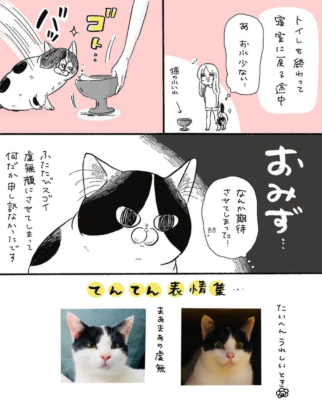 弓家キョウコさんのインスタグラム写真 - (弓家キョウコInstagram)「猫と連れションした女  さいきんコメント返しあんまりできてなくて申し訳ないです。 コメント本当ににうれしいですよおおおおお！！！！ いつもありがとうございます🐈‍⬛♡   #猫  #猫のいる暮らし   #日記  #漫画  #コミックエッセイ」7月10日 21時05分 - kyoko_yuge