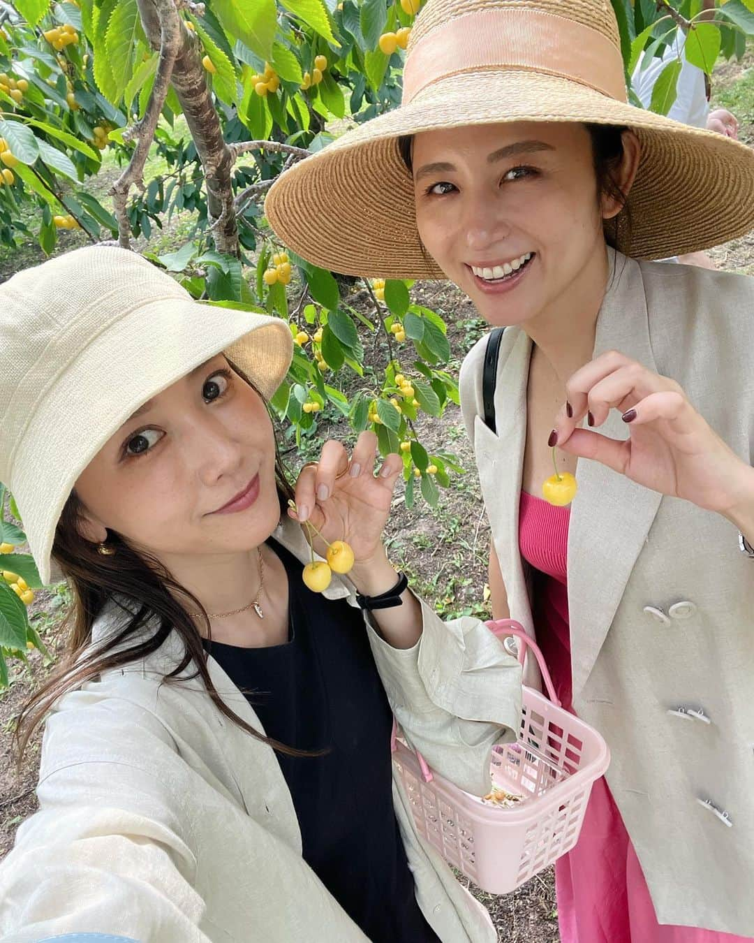 田中里奈さんのインスタグラム写真 - (田中里奈Instagram)「フォーリンデブはっしーさんと行く北海道・余市町よくばりツアー！ 小樽で一泊してから余市に一泊、旅のうまみがぎゅぎゅっと凝縮された最高の二泊三日でした✨ 余市は2回目だったけど、まだ知らない楽しい場所がたくさんあって楽しかった…！！  〈今回の余市で行ったところ〉 ✔︎ウニ丼（うにどころ、ぼうまるや） 大好きなスコーン（メルシースコーン @merciscone ） ✔︎海沿いの眺めのいいオシャレコーヒー屋さん（WILDERNESS COFFEE ROASTERS @wildernesscoffeeroasters ） ✔︎ニッカウヰスキー工場見学 ✔︎さくらんぼ狩り（ニトリ観光果樹園 @fruits_nitori ） ✔︎ワイン（伝説のドメーヌタカヒコのワイナリー見学） ✔︎透明度の高い余市の海！（ローソク岩までサンセットクルーズ＆この夏初めての日本の海デビュー） ✔︎サウナ＆宿泊（ZABOCON @zaboconyoichi ）  サクッと並べてもこの思い出量。 うにどころのウニ丼は、間違いなく人生最高のウニを更新しました。 ワイナリー見学の美味しいワインのテイスティングで酔っ払った勢いで買ったセイコーマートのとうきびソフトも美味しかったし、えびだし塩のカップラーメンも夜中にみんなで食べて美味しかったなぁ🥺 はっしーさんが中国の大きい仕事をしたときに〝小豚〟って訳されたっていう愛おしい小話は私の心の中に大切にしまっておきますね😌♡  旅先はもちろんのこと、天気にもメンバーにも恵まれた楽しい旅でした。余市、また行きたーい！！  #たなか旅メモ ←今までの旅はこちらに #北海道 #北海道旅行 #余市 #余市観光 #ローソク岩 #北海道グルメ #余市グルメ #merciscone #ZABOCON #サウナ #さくらんぼ狩り」7月10日 21時12分 - tanakaofficial