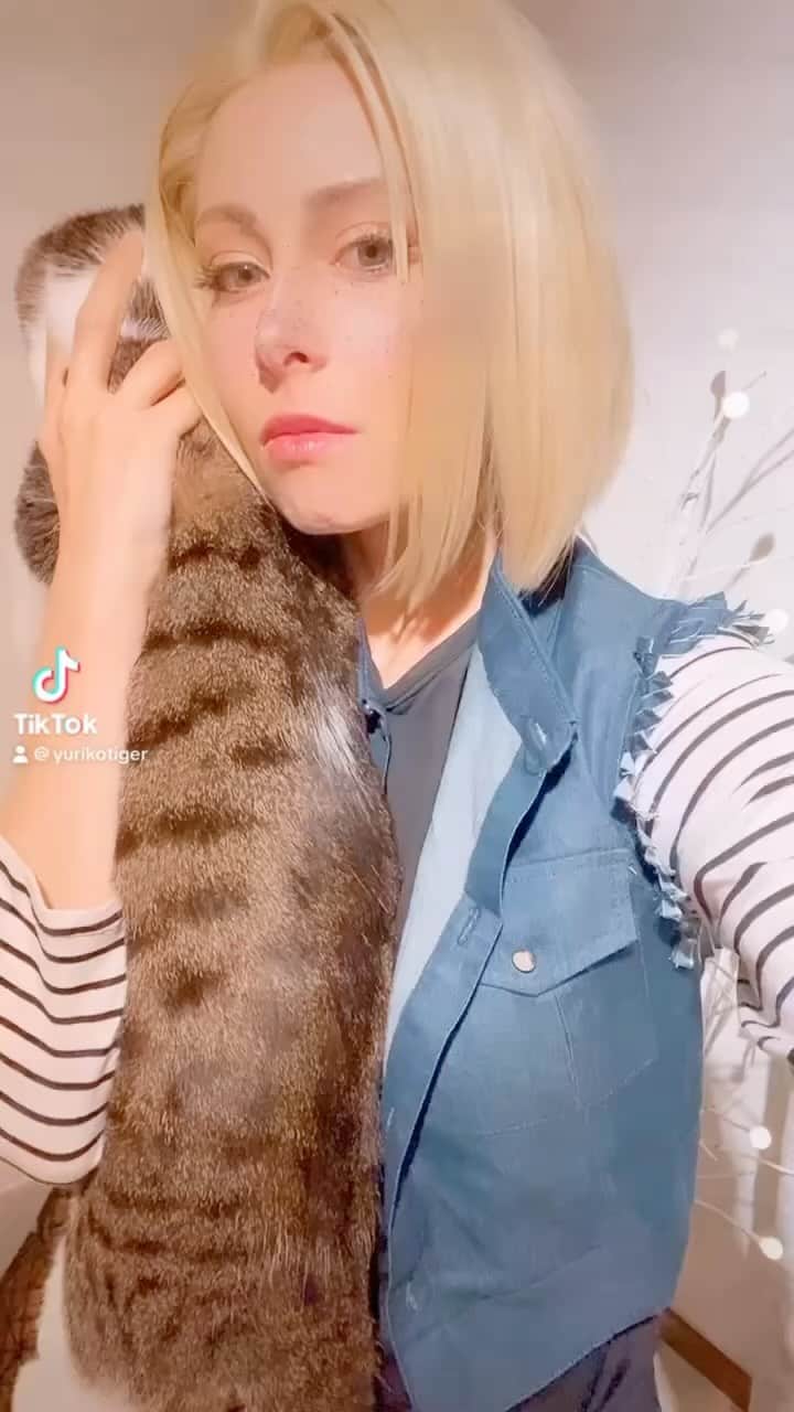 ユリコ・タイガーのインスタグラム：「Please show me your cat.」