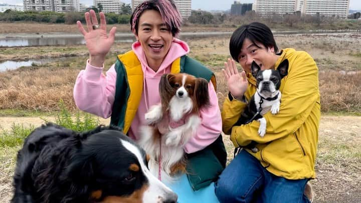 シッコウ!!〜犬と私と執行官〜のインスタグラム