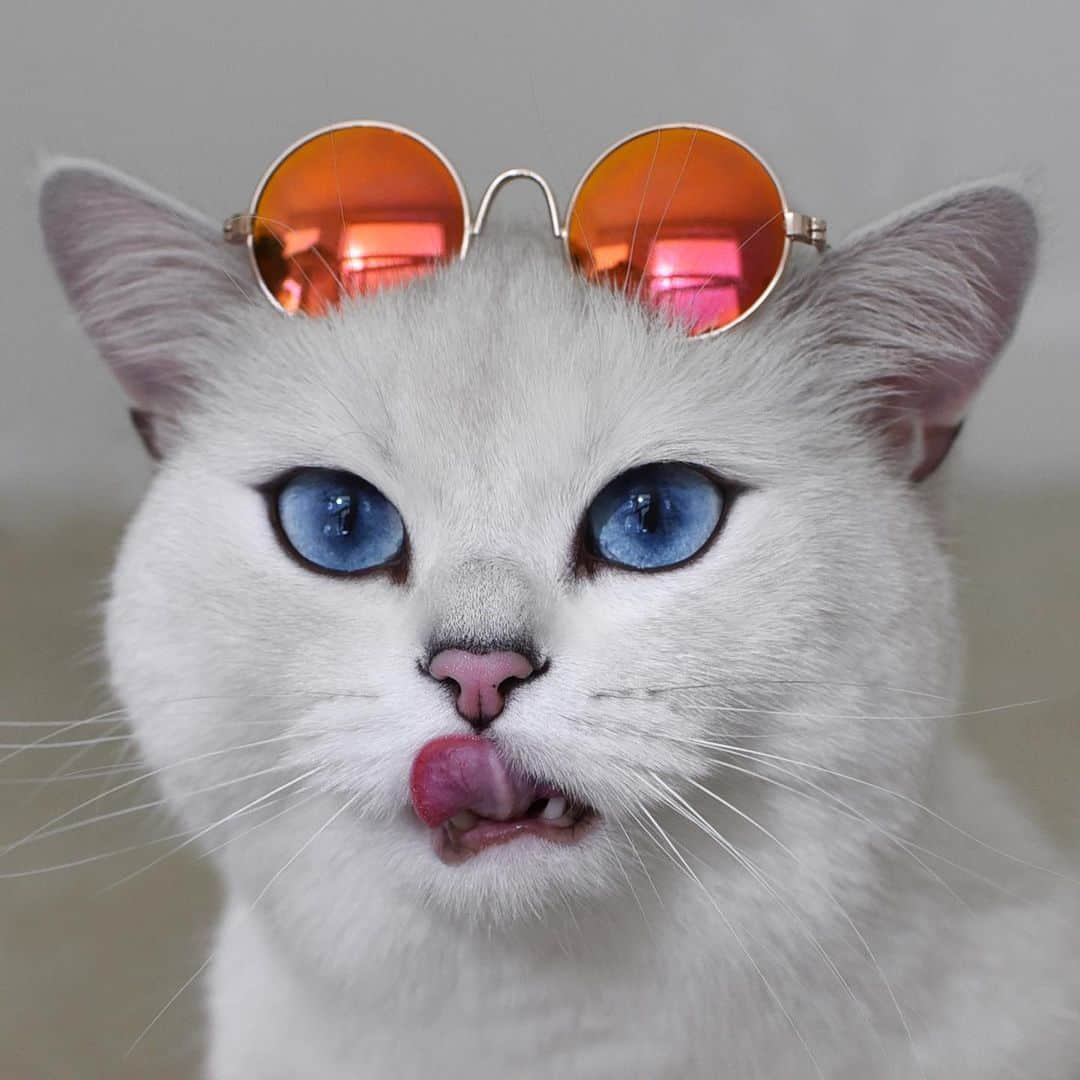 コビーのインスタグラム：「This heat is killing me. Someone bring me a tuna juice popsicle, stat.」
