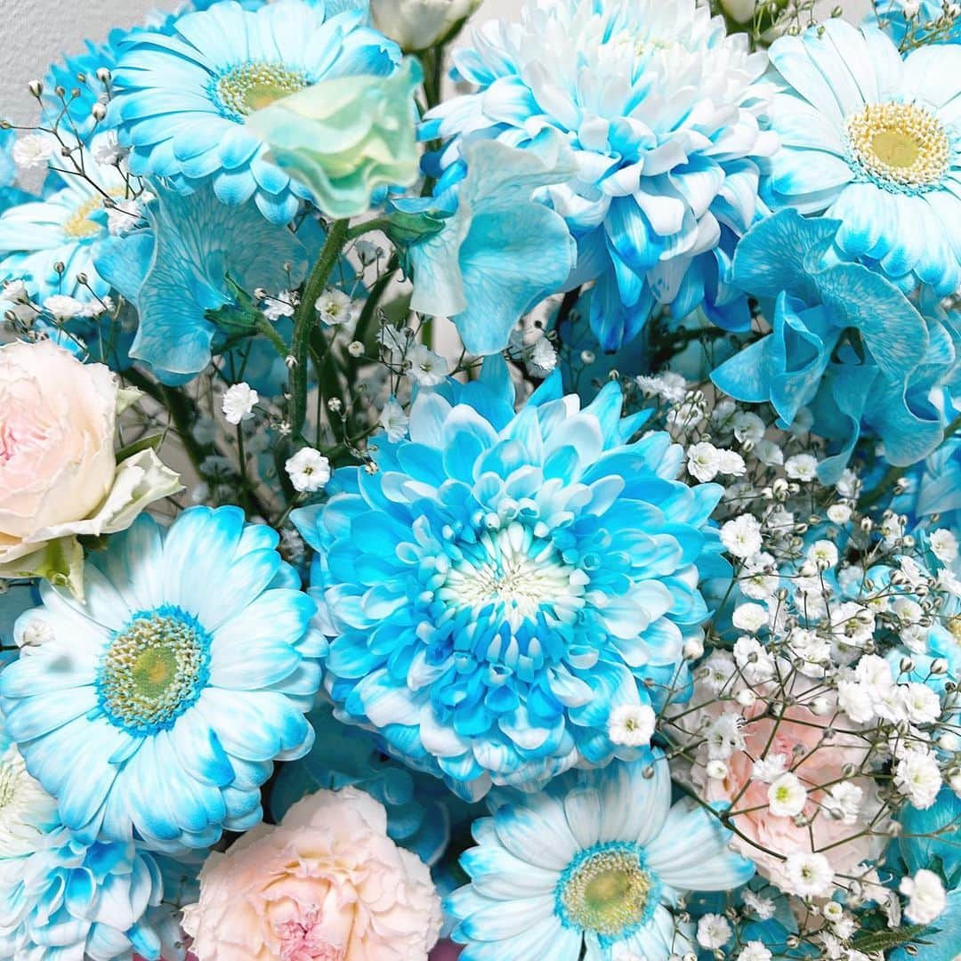 柴田阿弥のインスタグラム：「🩵💙🩵💙  ファンの方から頂いたお花💐 #過去pic」