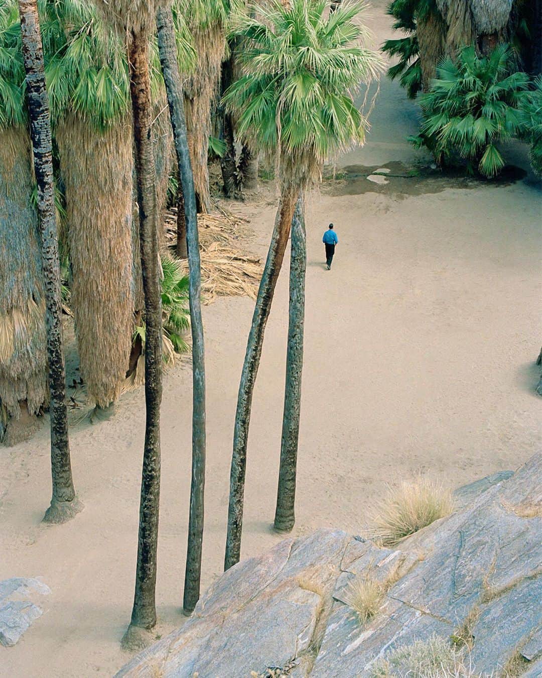 リモワさんのインスタグラム写真 - (リモワInstagram)「Away from Los Angeles' frenetic energy, photographer Arianna Lago retreats to the Mojave Desert.   #RIMOWA  #NewHorizons」7月10日 22時02分 - rimowa