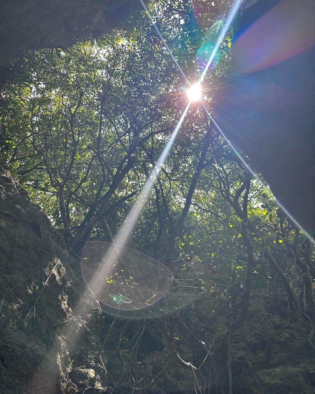 石原未梨さんのインスタグラム写真 - (石原未梨Instagram)「ちょこちょこ写真載せていく🌺」7月10日 22時27分 - miri_ishihara