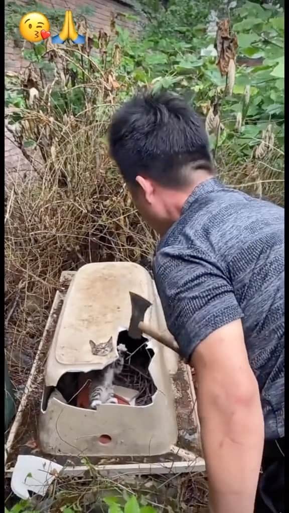 Cute Pets Dogs Catsのインスタグラム：「How did this happen?  Credit: beautiful user8157238731735 (tt) ** For all crediting issues and removals pls 𝐄𝐦𝐚𝐢𝐥 𝐮𝐬 ☺️  𝐍𝐨𝐭𝐞: we don’t own this video/pics, all rights go to their respective owners. If owner is not provided, tagged (meaning we couldn’t find who is the owner), 𝐩𝐥𝐬 𝐄𝐦𝐚𝐢𝐥 𝐮𝐬 with 𝐬𝐮𝐛𝐣𝐞𝐜𝐭 “𝐂𝐫𝐞𝐝𝐢𝐭 𝐈𝐬𝐬𝐮𝐞𝐬” and 𝐨𝐰𝐧𝐞𝐫 𝐰𝐢𝐥𝐥 𝐛𝐞 𝐭𝐚𝐠𝐠𝐞𝐝 𝐬𝐡𝐨𝐫𝐭𝐥𝐲 𝐚𝐟𝐭𝐞𝐫.  We have been building this community for over 6 years, but 𝐞𝐯𝐞𝐫𝐲 𝐫𝐞𝐩𝐨𝐫𝐭 𝐜𝐨𝐮𝐥𝐝 𝐠𝐞𝐭 𝐨𝐮𝐫 𝐩𝐚𝐠𝐞 𝐝𝐞𝐥𝐞𝐭𝐞𝐝, pls email us first. **」
