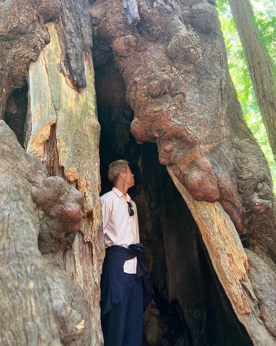 のインスタグラム：「Couldn't find the Totoro.」